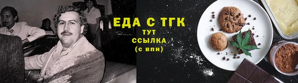 тгк Абаза