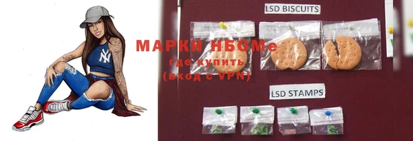тгк Абаза