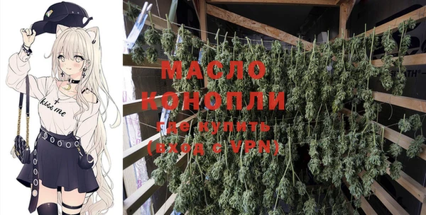 тгк Абаза