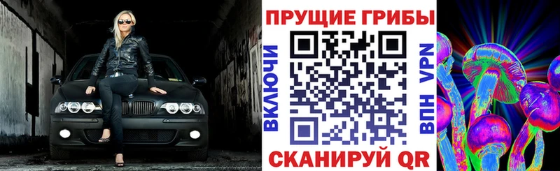 купить наркоту  Богородицк  Галлюциногенные грибы Magic Shrooms 