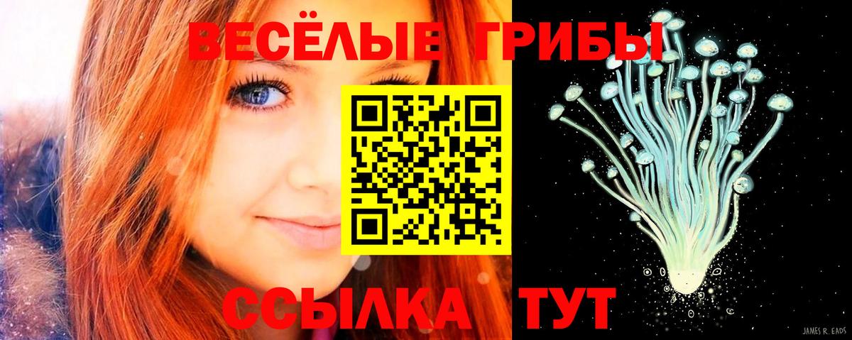 Галлюциногенные грибы мицелий  Вход с VPN  Богородицк 